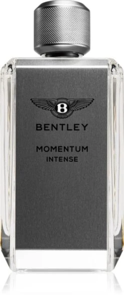 BENTLEY Momentum Intense- 100 Ml