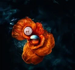 Biotherm Blue Therapy Amber Algae Revitalize- For Women 75 Ml -Freshs Centsy Shop biotherm blue therapy amber algae revitalize revitalising day cream 2