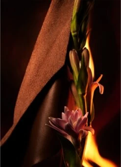 Bulgari Bvlgari Man In Black- 100 Ml -Freshs Centsy Shop bulgari bvlgari man in black eau de parfum for men 25 3