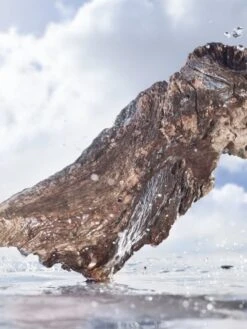 Bulgari Bvlgari Man Rain Essence- 60 Ml -Freshs Centsy Shop bulgari bvlgari man rain essence eau de parfum for men 2