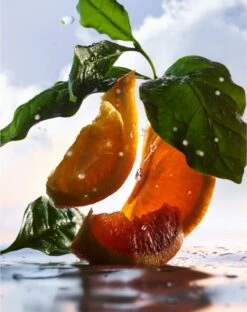 Bulgari Bvlgari Man Rain Essence- 60 Ml -Freshs Centsy Shop bulgari bvlgari man rain essence eau de parfum for men 5