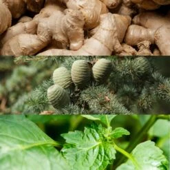 Calvin Klein Euphoria Men- 100 Ml -Freshs Centsy Shop calvin klein euphoria men eau de toilette for men 32 3