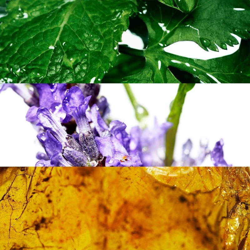 Davidoff Cool Water- 70 G 4 Davidoff Cool Water- 70 G - Image 2