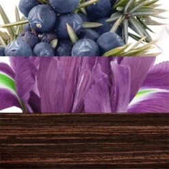 Davidoff The Game- 100 Ml -Freshs Centsy Shop davidoff the game eau de toilette for men 26 2