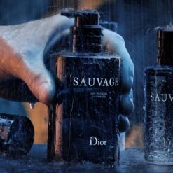 DIOR Sauvage- 250 Ml -Freshs Centsy Shop dior sauvage perfumed shower gel with pump for men 2