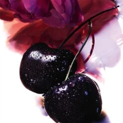 Guerlain La Petite Robe Noire- 200 Ml -Freshs Centsy Shop guerlain la petite robe noire shower gel for women 20 2