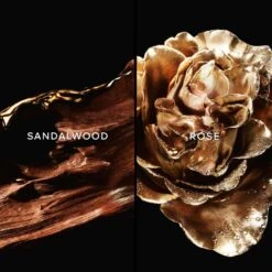 Guerlain Les Absolus D'Orient Santal Royal- 30 Ml -Freshs Centsy Shop guerlain les absolus dorient santal royal hair mist unisex 3