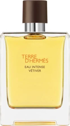 Terre D’Hermès Eau Intense Vétiver- 100 Ml