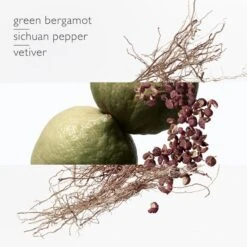 Terre D’Hermès Eau Intense Vétiver- 125 Ml -Freshs Centsy Shop hermes terre dhermes eau intense vetiver eau de parfum refill for men 2