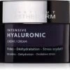 Intensive Hyaluronic Cream- 50 Ml -Freshs Centsy Shop institut esthederm intensive hyaluronic cream face cream with moisturizing effect