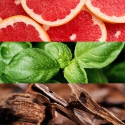 Lacoste Booster- 125 Ml -Freshs Centsy Shop lacoste booster eau de toilette for men 23 2