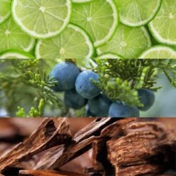 Lacoste Pour Homme- 100 Ml -Freshs Centsy Shop lacoste pour homme eau de toilette for men 23 2