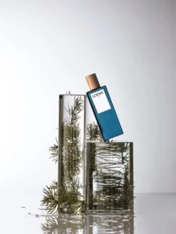 Loewe 7- 100 Ml -Freshs Centsy Shop loewe 7 eau de toilette for men 14 2