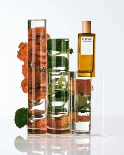 Loewe Pour Homme- 100 Ml -Freshs Centsy Shop loewe loewe pour homme eau de toilette for men 16 2