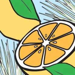 MEXX Whenever Wherever For Him- 30 Ml -Freshs Centsy Shop mexx whenever wherever for him eau de toilette for men 3 2