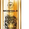 Bengal Oud- 100 Ml -Freshs Centsy Shop montale bengal oud eau de parfum unisex