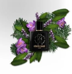 Roberto Cavalli Uomo- 100 Ml -Freshs Centsy Shop roberto cavalli uomo eau de toilette for men 14 2
