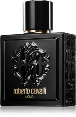 Roberto Cavalli Uomo- 100 Ml