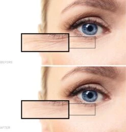 Advanced Coenzyme Q10 Ampoules- 7x2 Ml -Freshs Centsy Shop saffee advanced coenzyme q10 ampoules ampoule 7 day intensive treatment with coenzyme q10 7