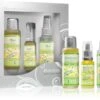 3 Steps To Beauty Lemon Tea Tree -Freshs Centsy Shop saloos 3 steps to beauty lemon tea tree gift set for problem and oily skin 20