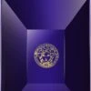 Versace Dylan Blue Pour Homme- 250 Ml
