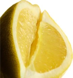 Yves Saint Laurent L'Homme Cologne Bleue- 100 Ml -Freshs Centsy Shop yves saint laurent lhomme cologne bleue eau de toilette for men 7 2